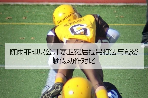 陈雨菲印尼公开赛卫冕后拉吊打法与戴资颖假动作对比