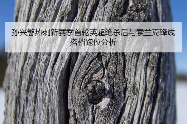孙兴慜热刺新赛季首轮英超绝杀后与索兰克锋线搭档跑位分析